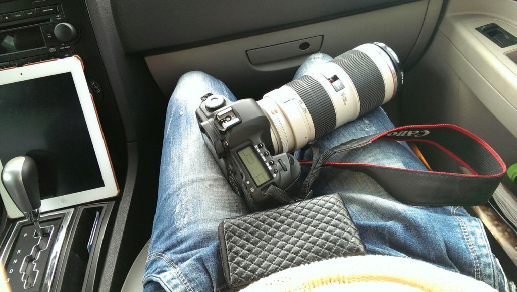 Что такое ЗУМ (ZOOM)? | Блог фотографа